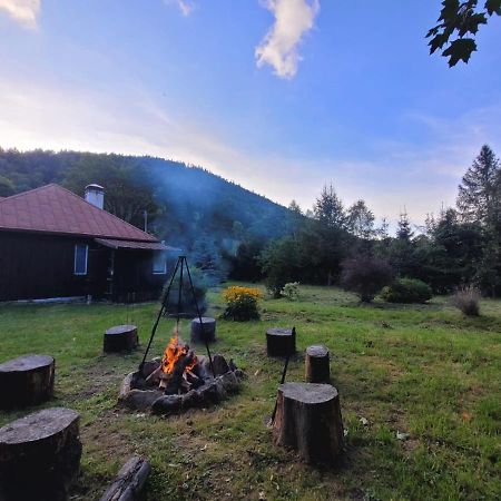 Villa Patysiowka Stronie Śląskie Exterior foto