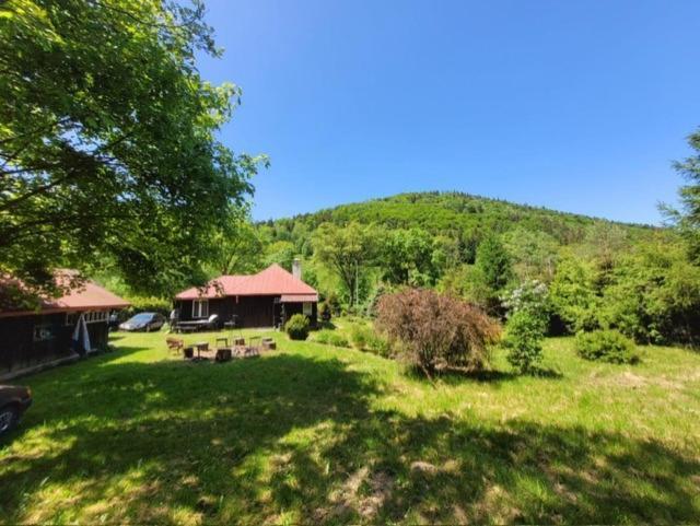 Villa Patysiowka Stronie Śląskie Exterior foto