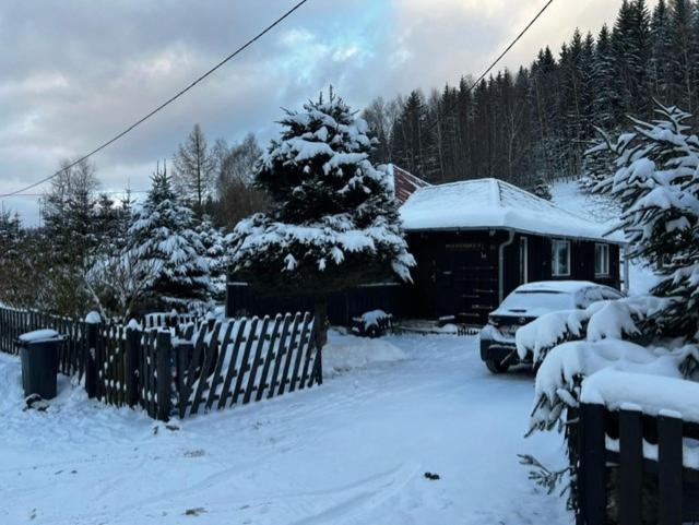 Villa Patysiowka Stronie Śląskie Exterior foto